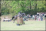030.jpg