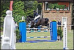 050.jpg