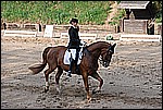 106.jpg