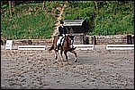 113.jpg