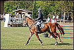 134.jpg