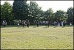 141.jpg