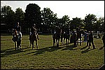 145.jpg