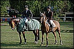146.jpg