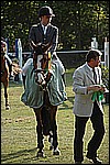 147.jpg