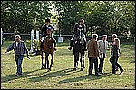149.jpg
