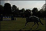 150.jpg