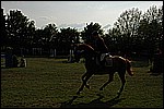 151.jpg