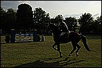 153.jpg