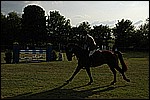 154.jpg