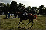 156.jpg