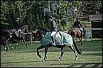 157.jpg