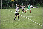 036.jpg