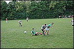 052.jpg