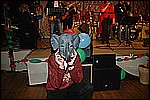 225.jpg