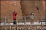 118.jpg