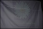 108.jpg