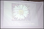 072.jpg