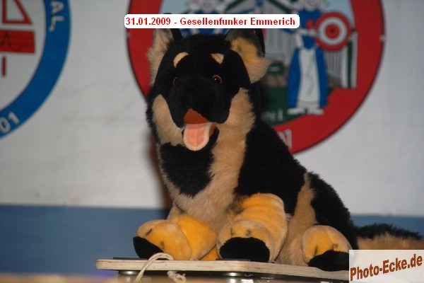 226.jpg
