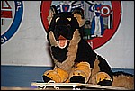 226.jpg