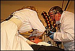 157.jpg