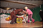 198.jpg