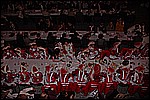 387.jpg