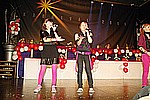 075.jpg