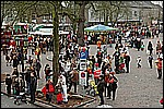 253.jpg