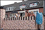 169.jpg