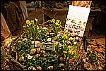 022.jpg
