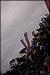 014.jpg