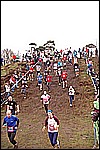 030.jpg