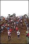 031.jpg