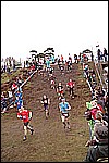 034.jpg