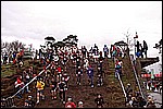 041.jpg