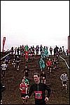 050.jpg