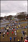 061.jpg