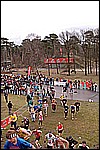 064.jpg