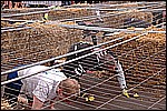 103.jpg