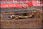 113.jpg