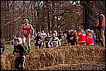 121.jpg