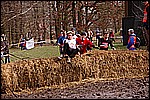 127.jpg