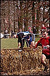 131.jpg