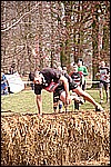 133.jpg