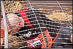 134.jpg