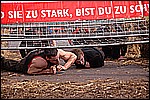 138.jpg