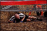 140.jpg