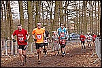 175.jpg