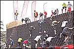 186.jpg